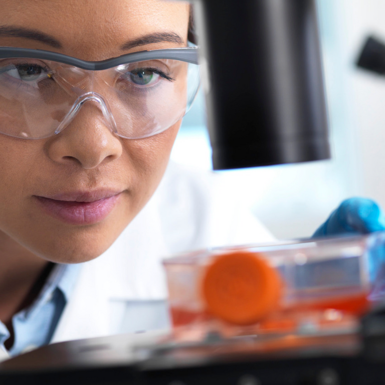 Laboratory researcher using a light microscope to examine stem cells in a culture jar.⁠